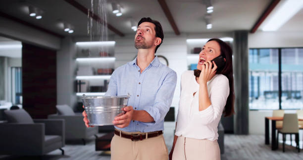 Best Water damage restoration near me  in Cumberland, KY