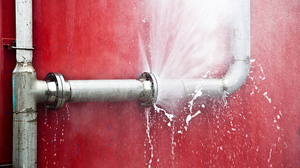 Best Flood restoration services  in Cumberland, KY