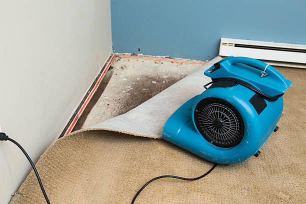 Best Local water damage restoration  in Cumberland, KY